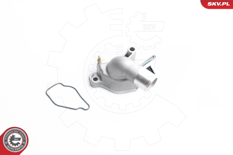 Thermostat, coolant
